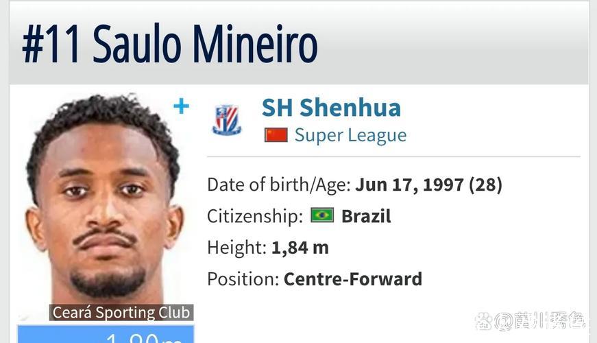 中超身价榜单申花排名第4 米内罗暴涨至180万欧元